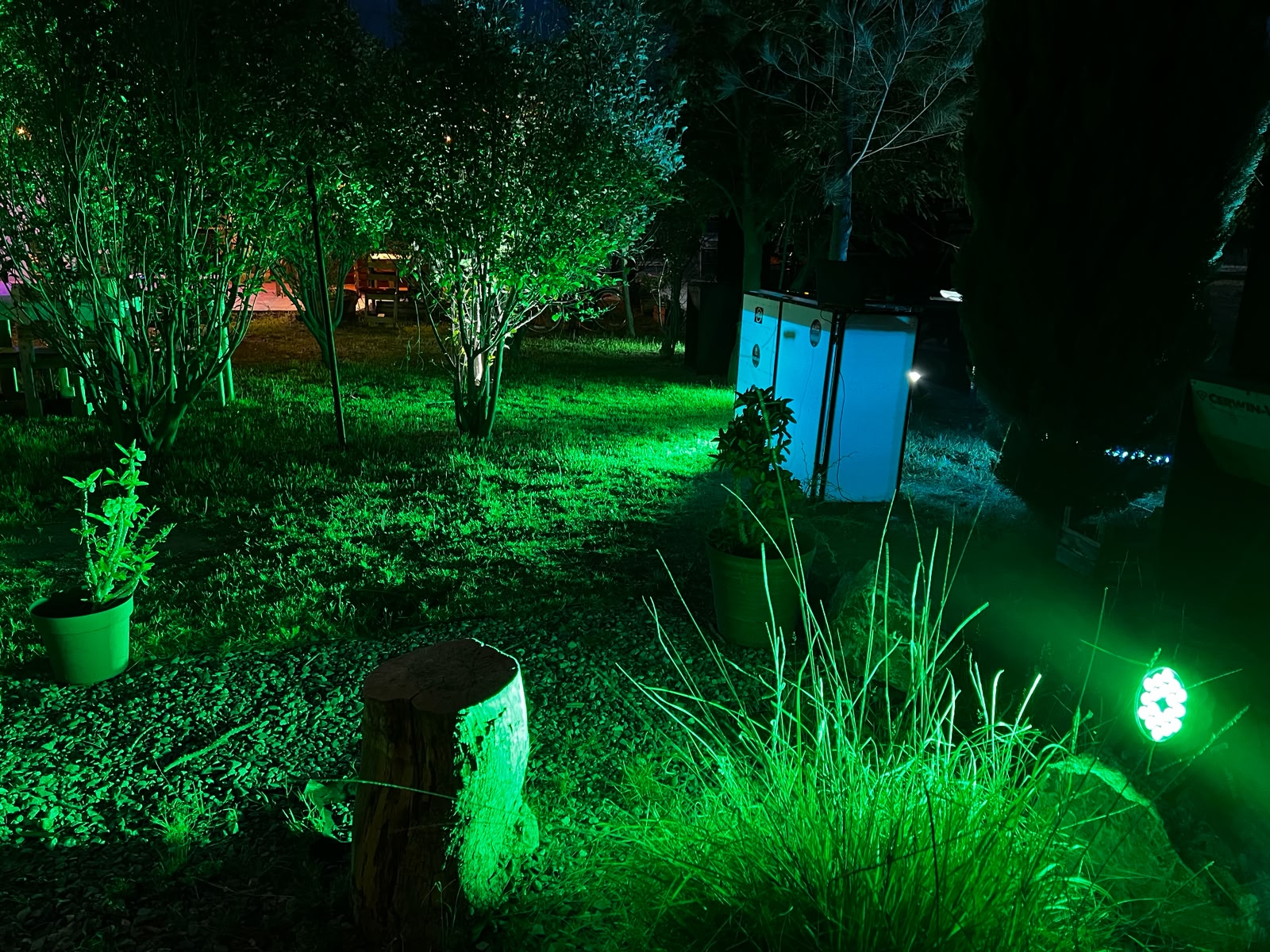 Jardín iluminado con luz verde para evento en Mexitaly